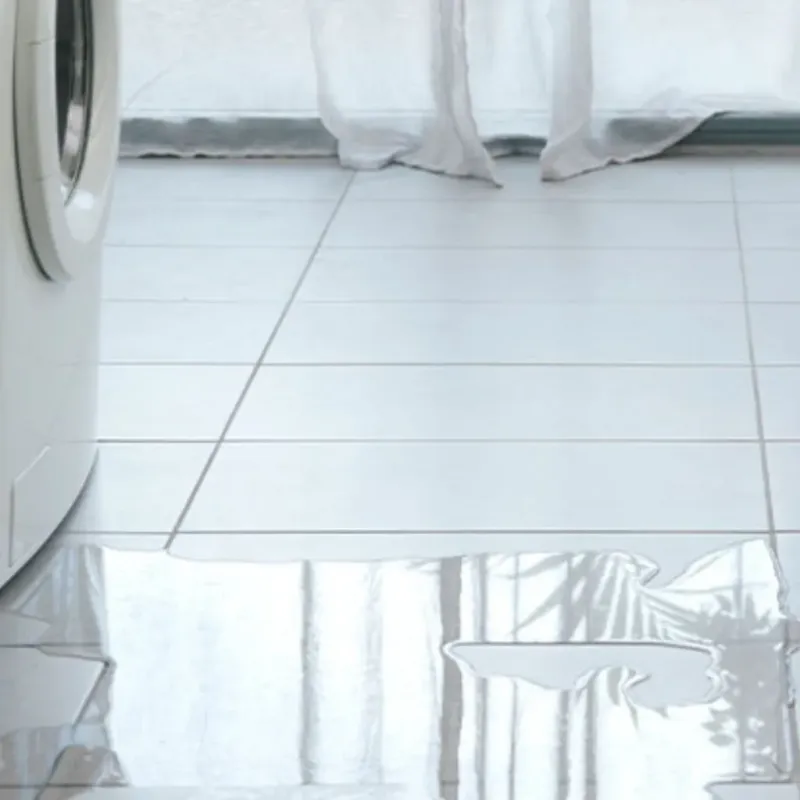 Appliance Leak Cleanup in Canyon Lake, CA