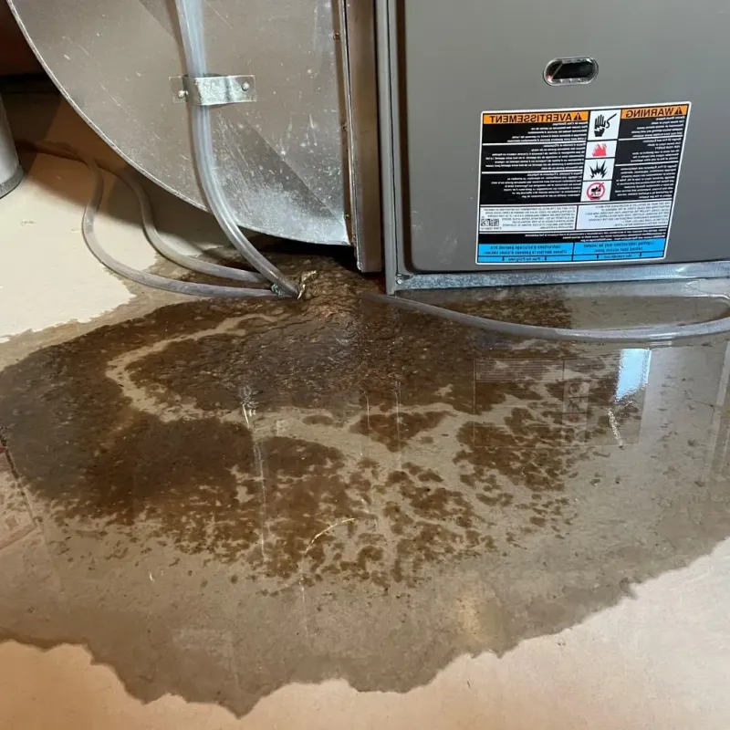 Pipe Burst and Leak Restoration in Canyon Lake, CA